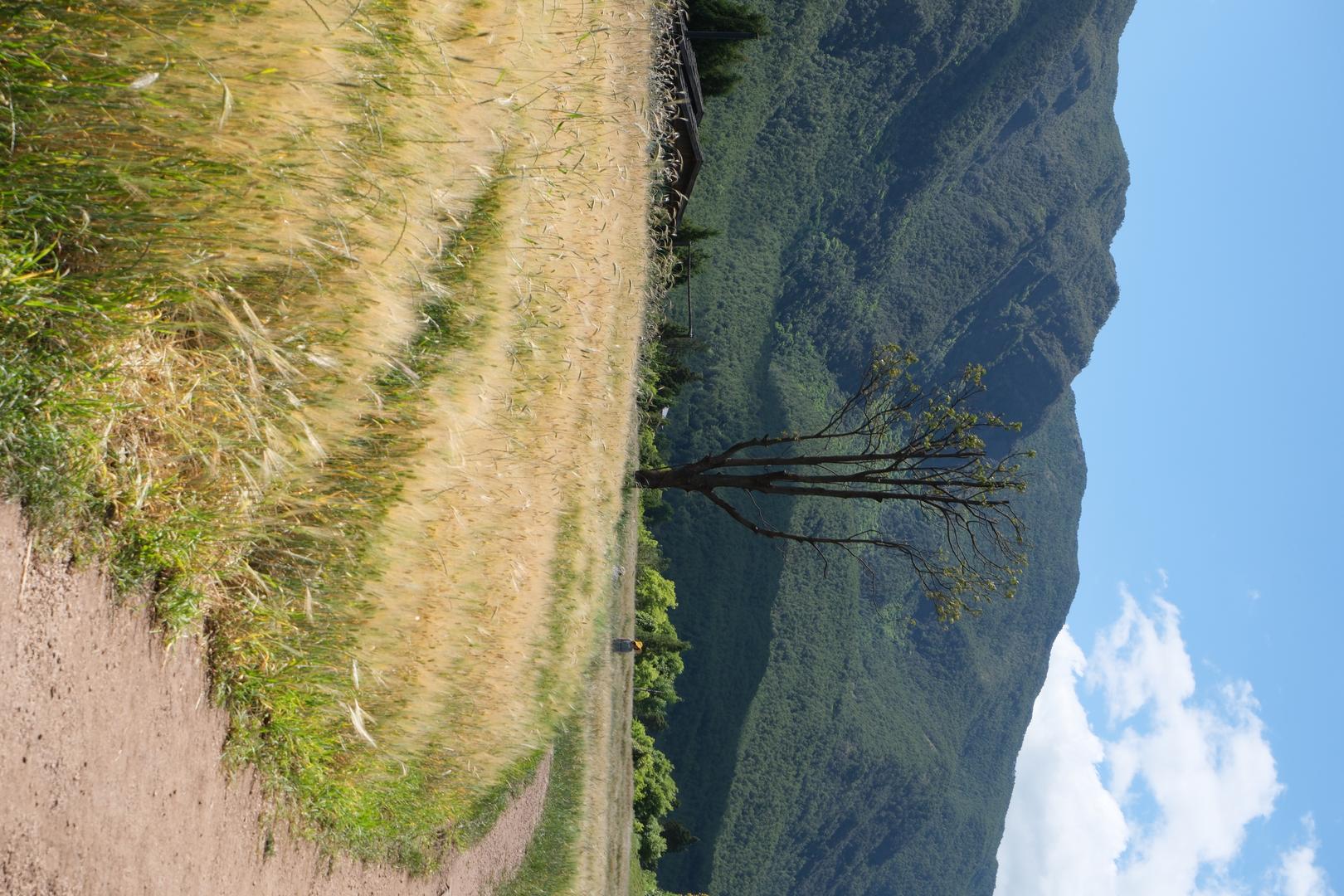 Summer Cinematic filter example