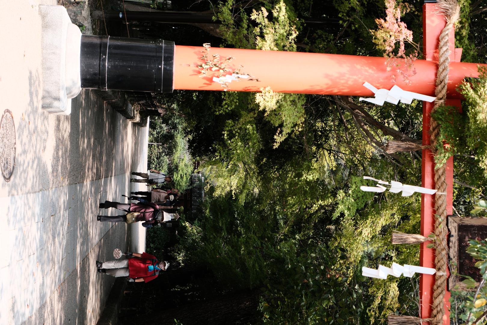 Leica Tone filter example