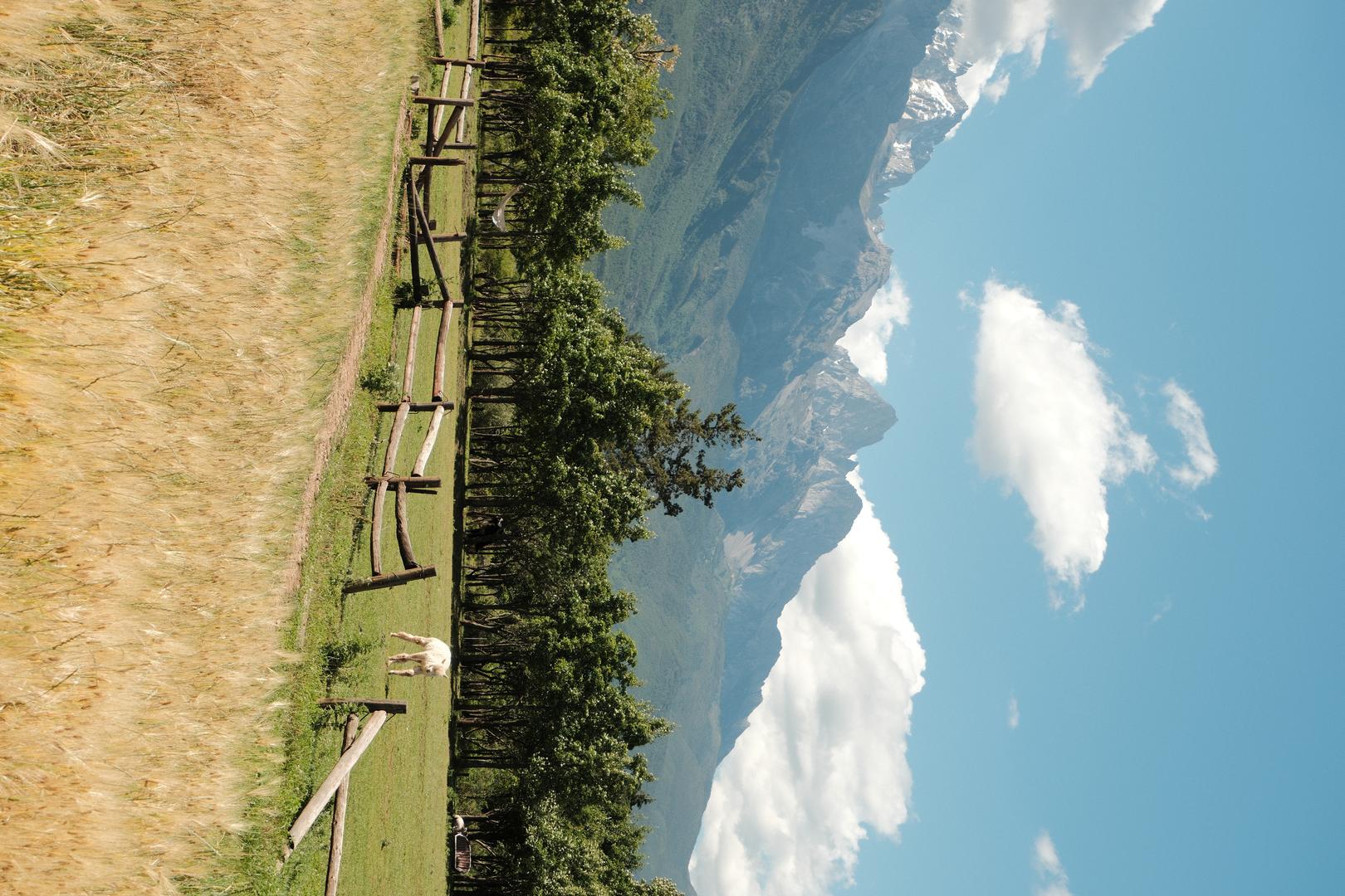 Kodak Gold 200 filter example