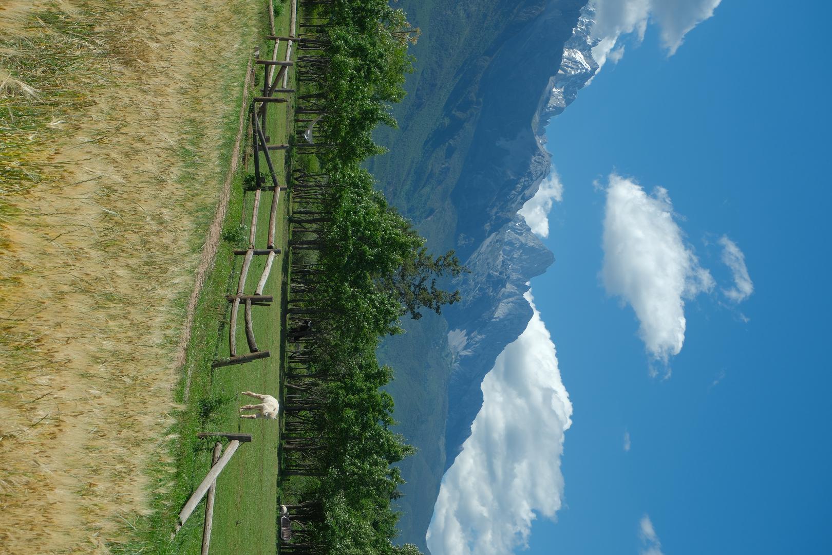 Vintage Light & Shadow filter example