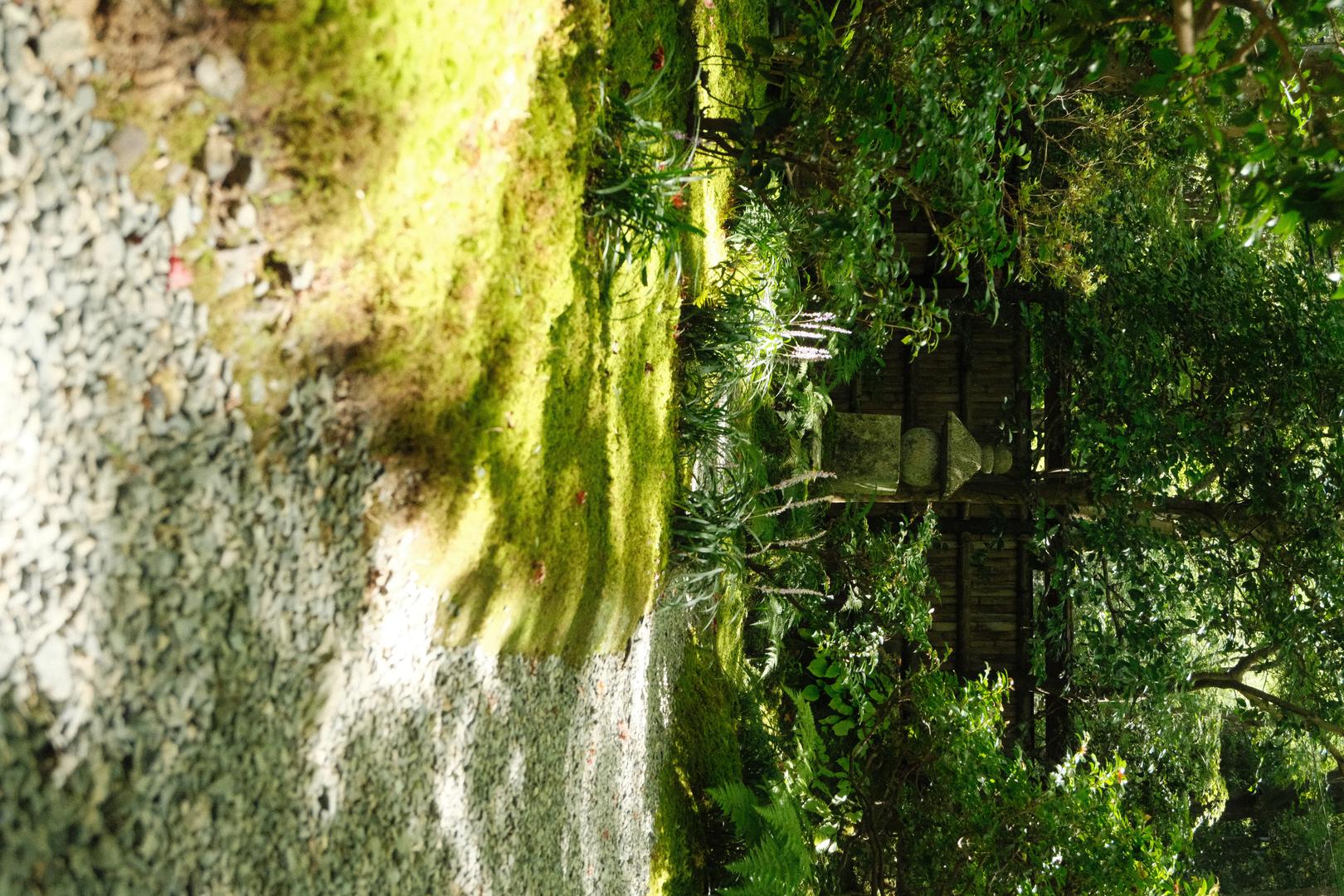 Kodak Film filter example