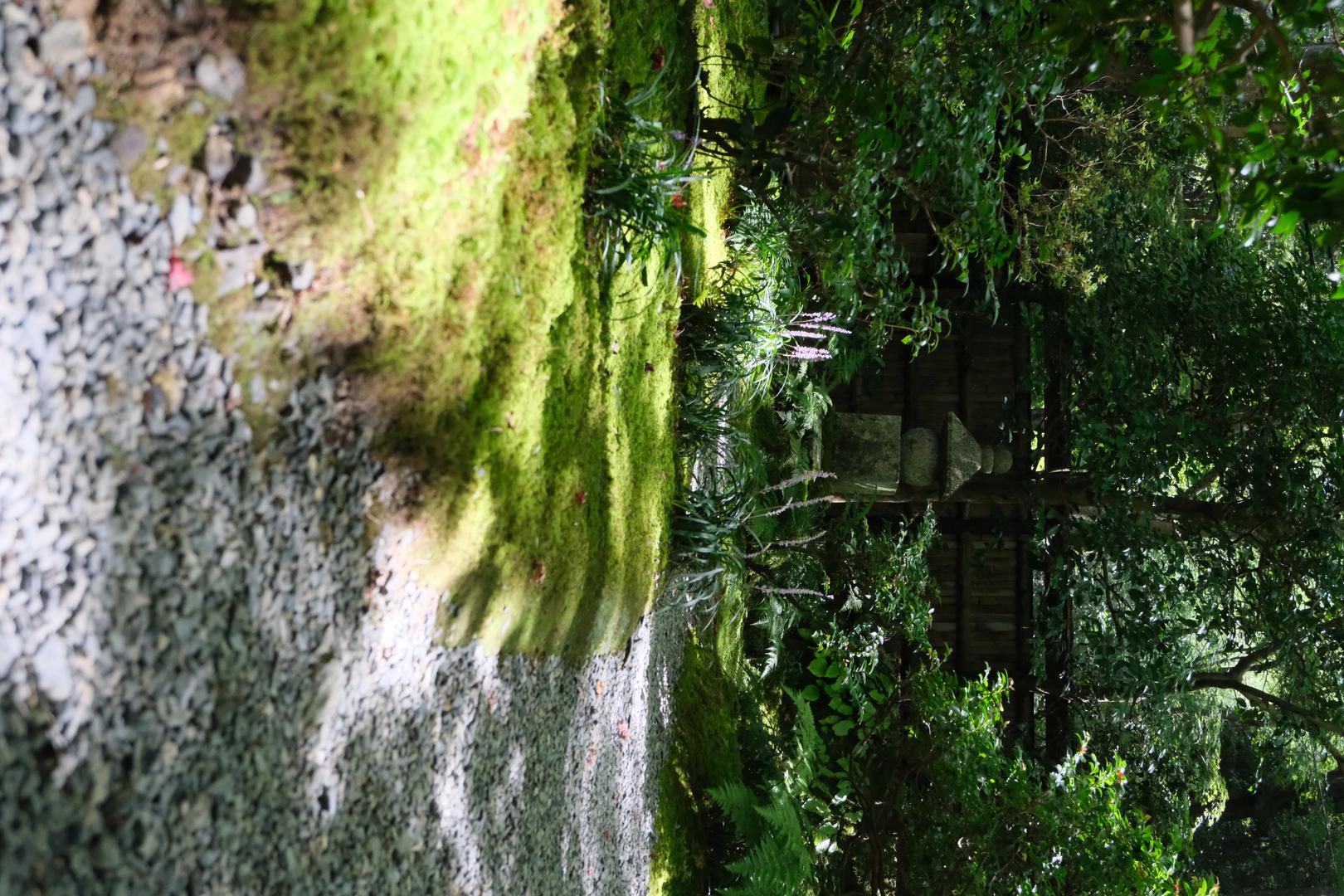 Kodak Film filter example