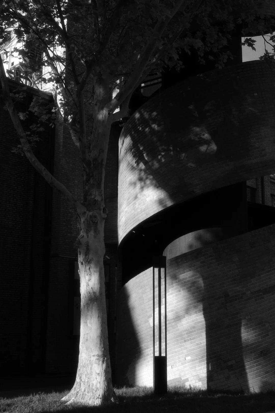 Hi-Contrast B&W filter example