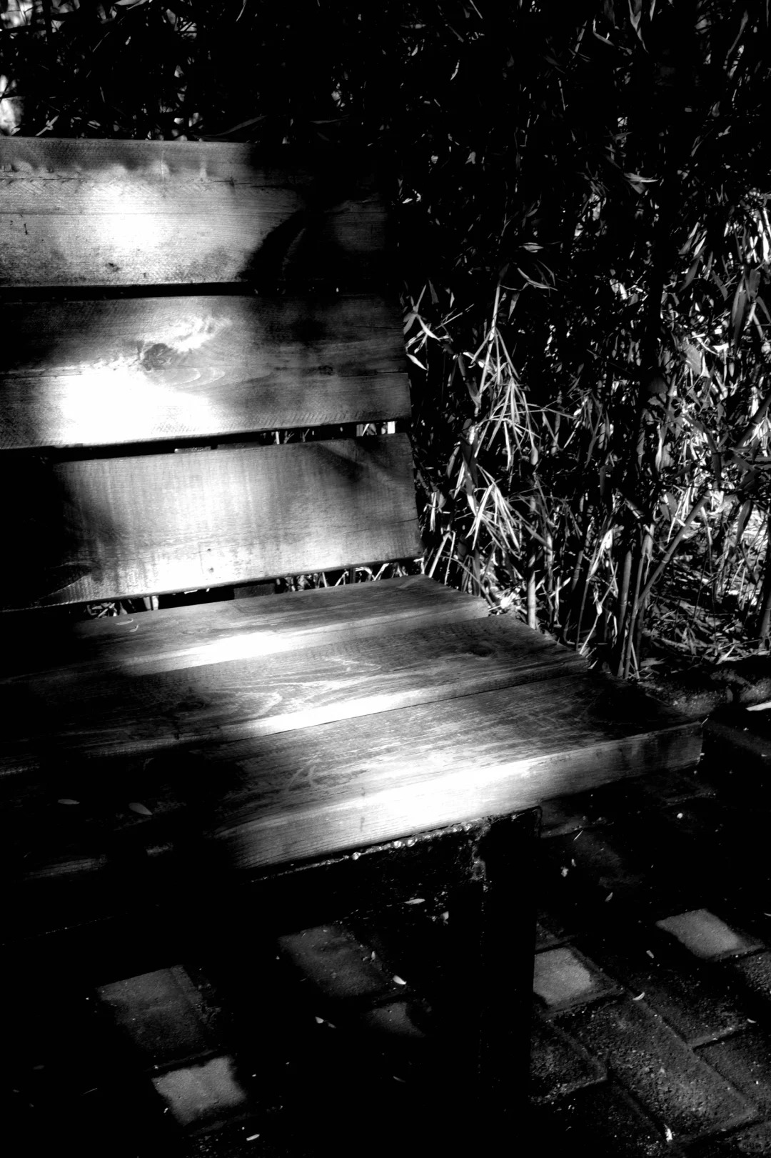 Hi-Contrast B&W filter example